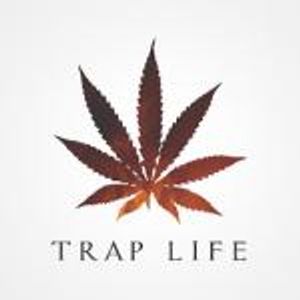 Download Sample pack TRAP LIFE