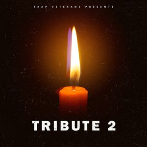 Download Sample pack Tribute 2