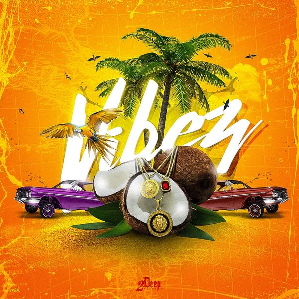 Download Sample pack Vibez