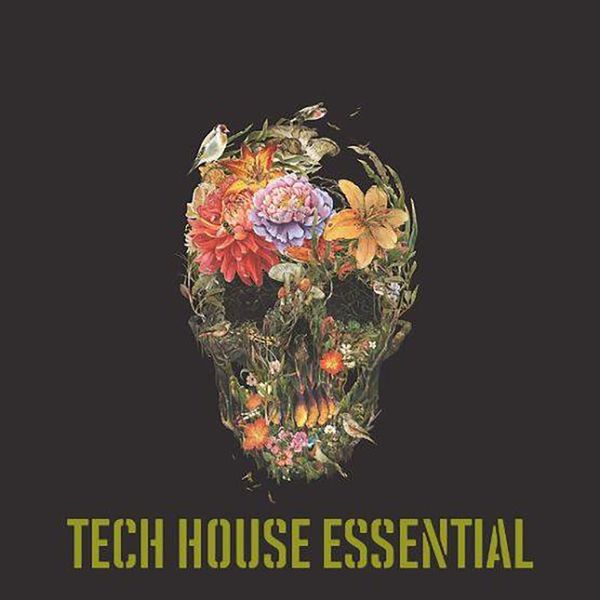 Download Sample pack Tech House Essential