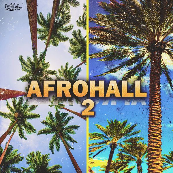 Download Sample pack Afrohall 2