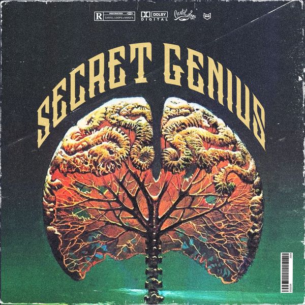 Download Sample pack Secret Genius