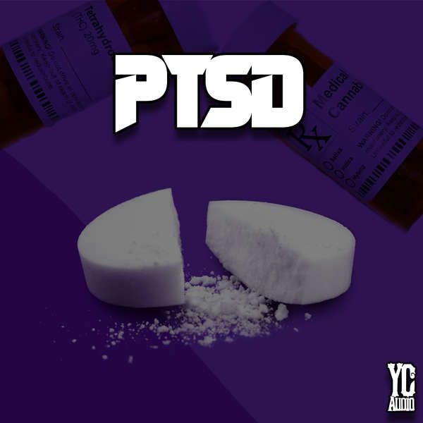 Yc audio ptsd royalty free samples producershop