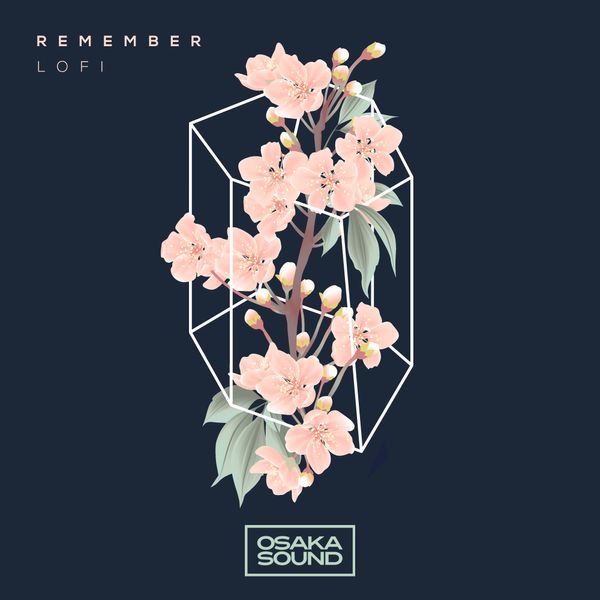 Download Sample pack Remember - Lofi