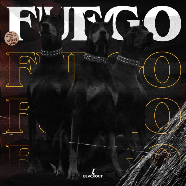 Download Sample pack Fuego