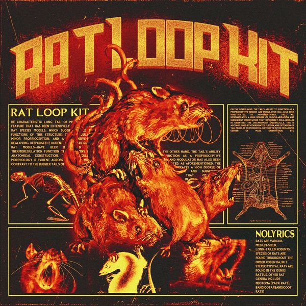 Download Sample pack RAT
