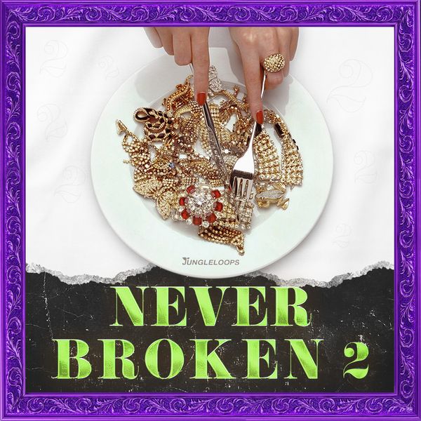 Download Sample pack Never Broken 2