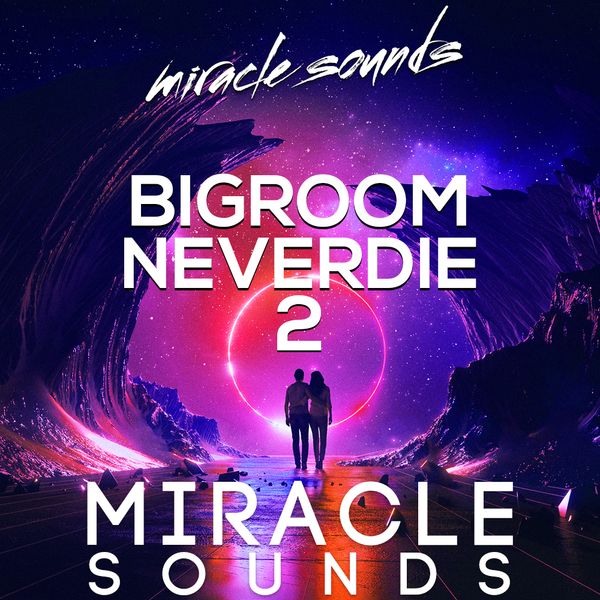 Download Sample pack BIGROOM NEVERDIE 2