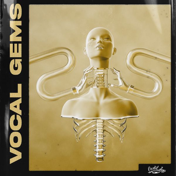 Download Sample pack Vocal Gems