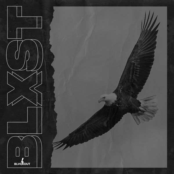 Download Sample pack Blxst