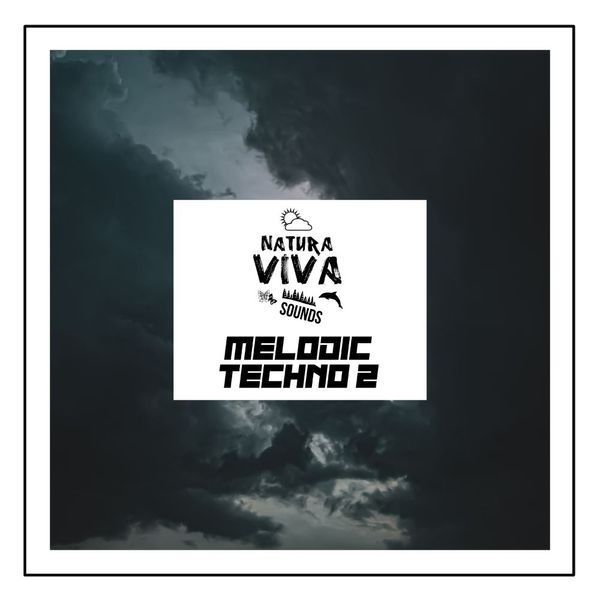 Download Sample pack Natura Viva Sounds - Melodic Techno 2
