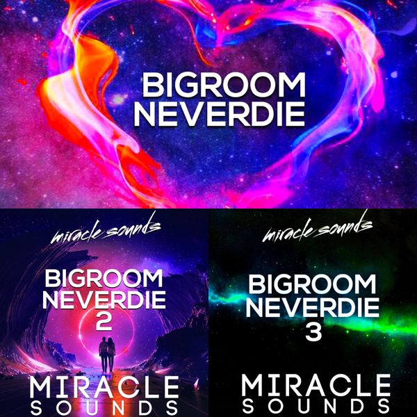 Download Sample pack Bigroom Neverdie Bundle