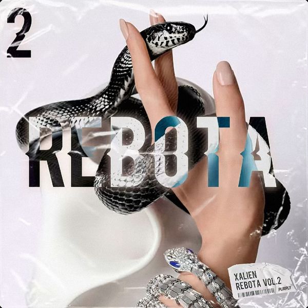 Download Sample pack REBOTA Vol.2