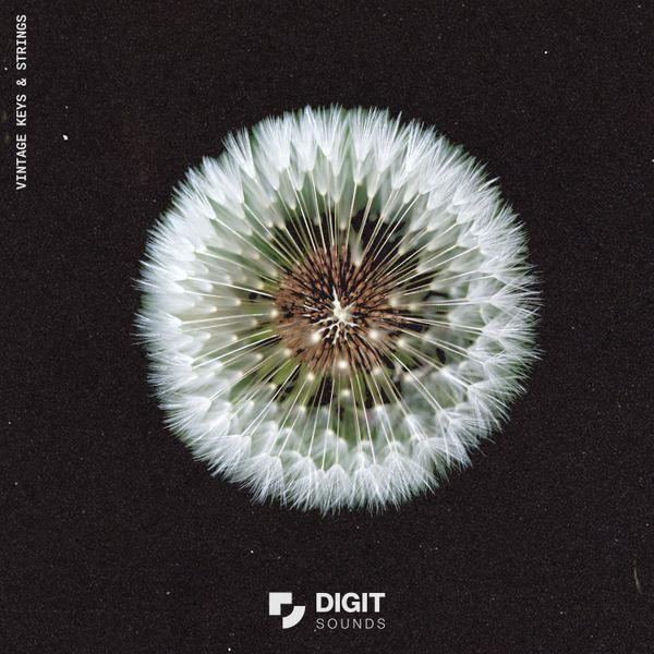 Download Sample pack Vintage Keys & Strings