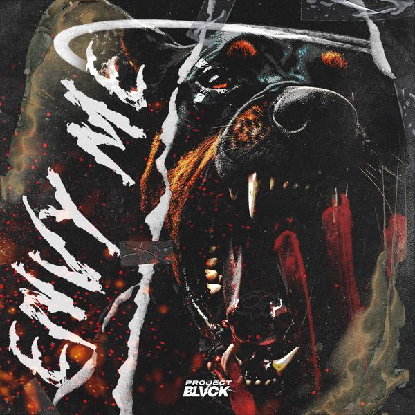 Download Sample pack Envy Me Construction Kits