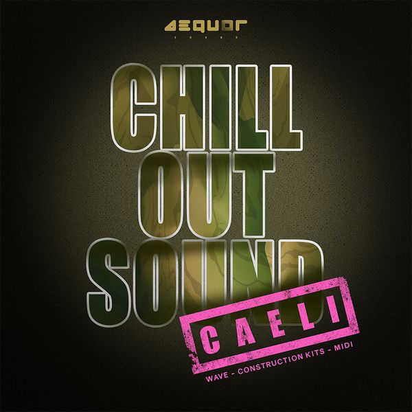 Download Sample pack Сaeli: Chill Out