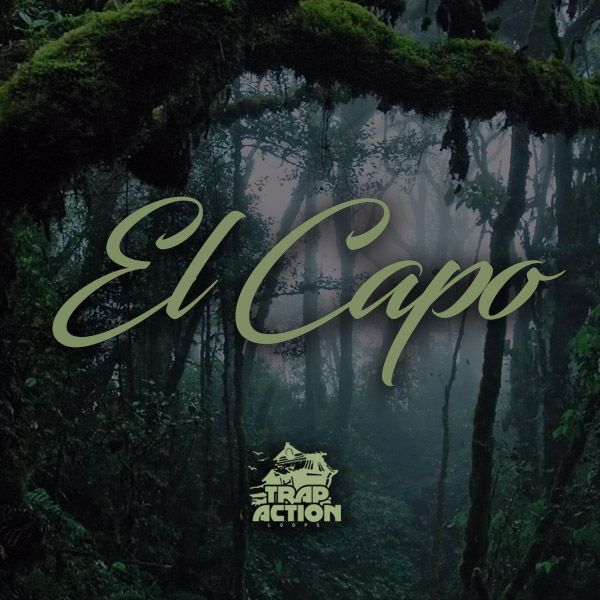 Download Sample pack El Chapo