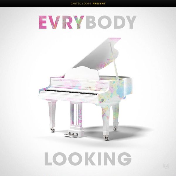 Download Sample pack Evrybody Looking