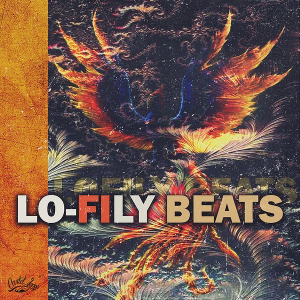 Download Sample pack Lo-Fily Beats
