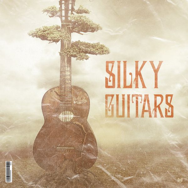 Download Sample pack Silky Guitars