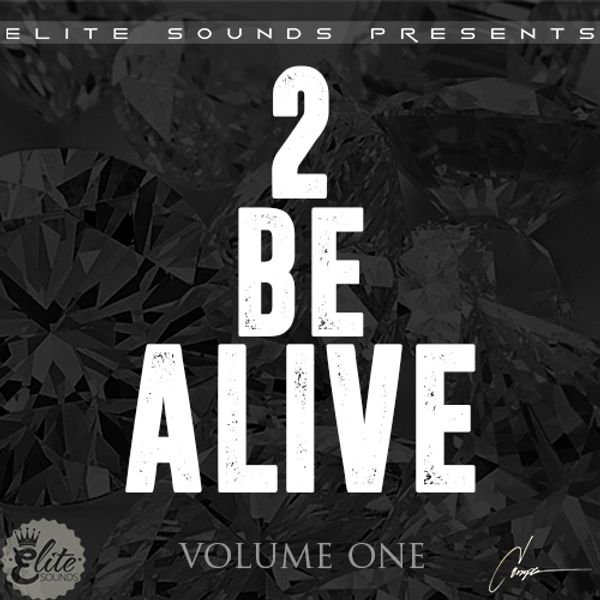 Download Sample pack 2 Be Alive Vol.1