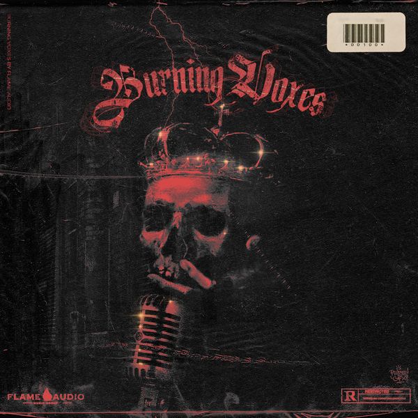 Download Sample pack Burning Voxes