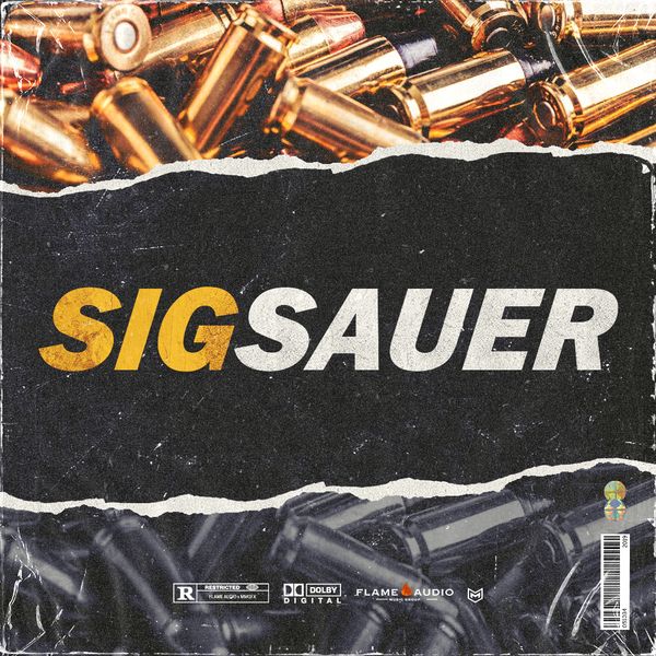 Download Sample pack Sig Sauer