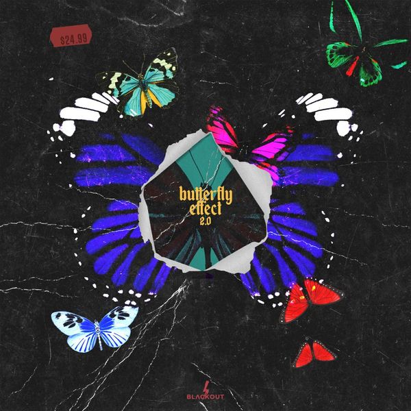Download Sample pack Butterfly Effect 2
