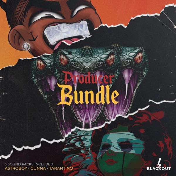 Download Sample pack Producer Bundle 2