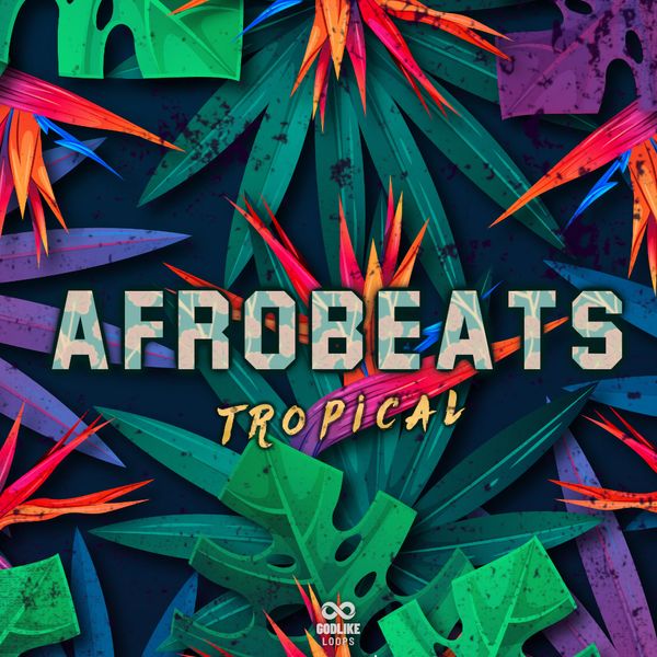 Afrobeat loops sale