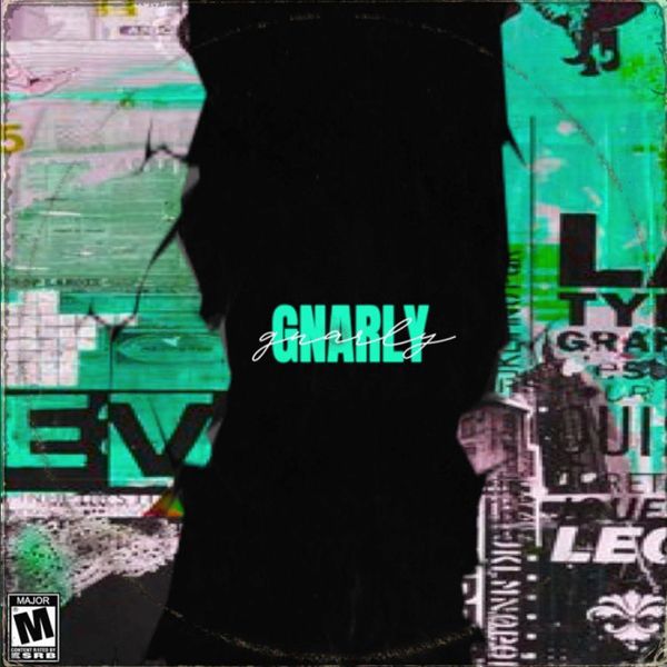 Download Sample pack Gnarly