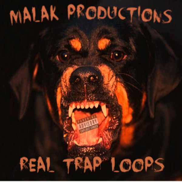 Download Sample pack Real Trap Loops