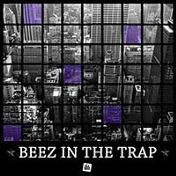 Download Sample pack Beez in the trap