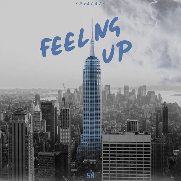 Download Sample pack FEELING UP