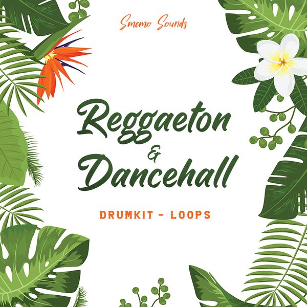 Download Sample pack REGGAETON & DANCEHALL