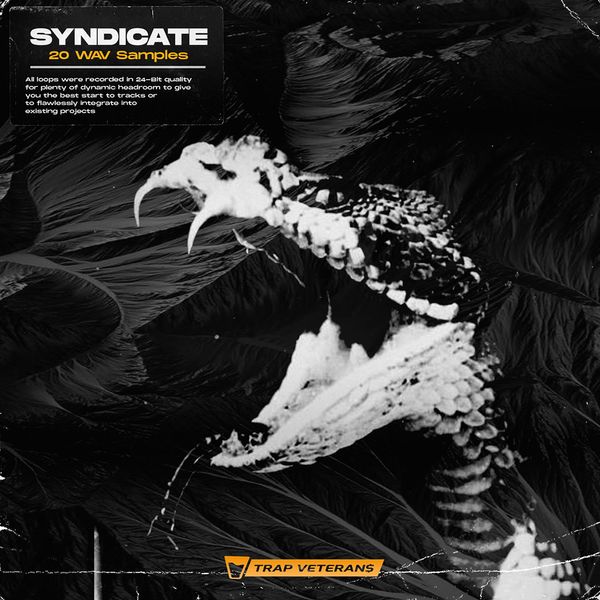 Download Sample pack Syndicate