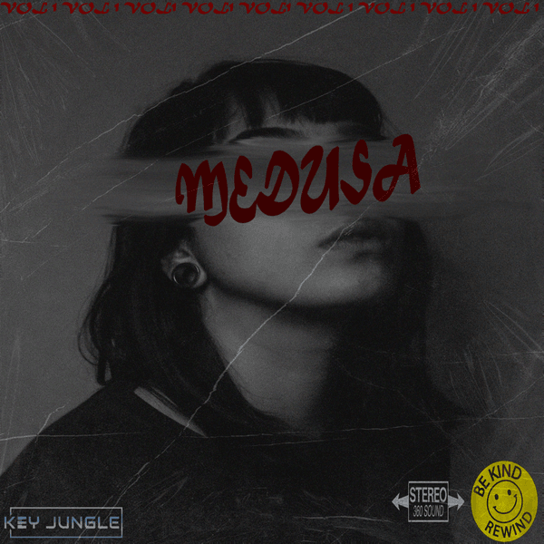 Download Sample pack Medusa- Modern RnB Samples
